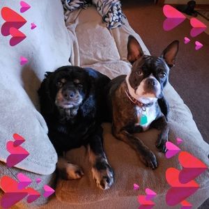 Meet your Posher, Renee